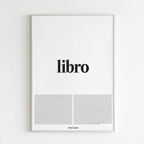 Poster - LIBRO