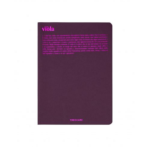 Quaderno a righe Linea Colori - viola
