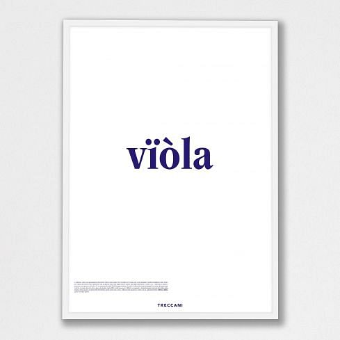 Poster – VIOLA